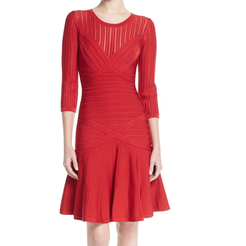 Herve Leger Dress